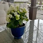 Hotel Rantakartano *
